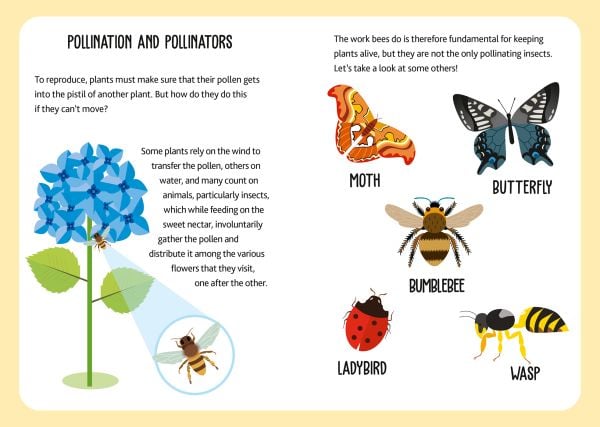 Activity box of Eco-Play Bees! Over 20 Boardgames in a Travel Size Box, with bees, honeycomb and honey pots. Published by White Star.