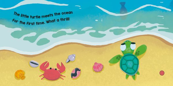 Book cover of Ocean's White Noise: with a green turtle and sea gull in blue sea. Published by White Star.