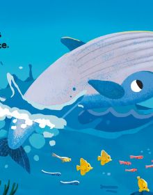 Book cover of Ocean's White Noise: with a green turtle and sea gull in blue sea. Published by White Star.