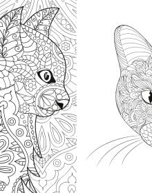 Book cover of Relaxing Cats: Colouring Book, featuring a white and tan cat with a dark landscape behind. Published by White Star.