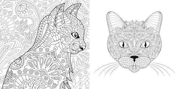Book cover of Relaxing Cats: Colouring Book, featuring a white and tan cat with a dark landscape behind. Published by White Star.