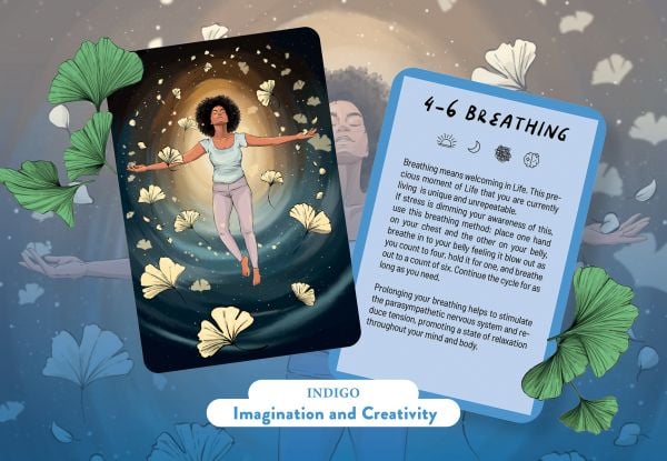 Box cover of 5-Minute-a-day Mindfulness; featuring a woman meditating, surrounded by houuseplants. Published by White Star.