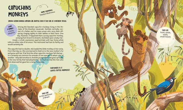 Book cover of All Kinds of Families: Learning from Animals; featuring monkeys, a crocodile, and two birds. Published by White Star.