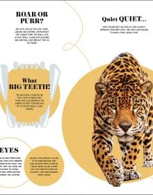1000+ Bite-Sized Facts! Nature