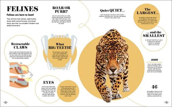 Book cover of 1000+ Bite-Sized Facts! Nature; featuring a shark. Published by White Star.