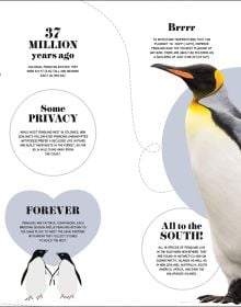 1000+ Bite-Sized Facts! Nature