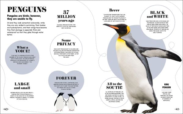 Book cover of 1000+ Bite-Sized Facts! Nature; featuring a shark. Published by White Star.