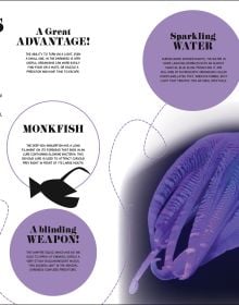 1000+ Bite-Sized Facts! Nature