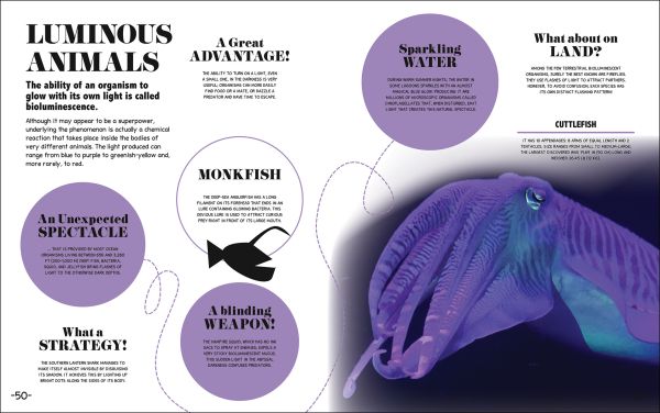 Book cover of 1000+ Bite-Sized Facts! Nature; featuring a shark. Published by White Star.