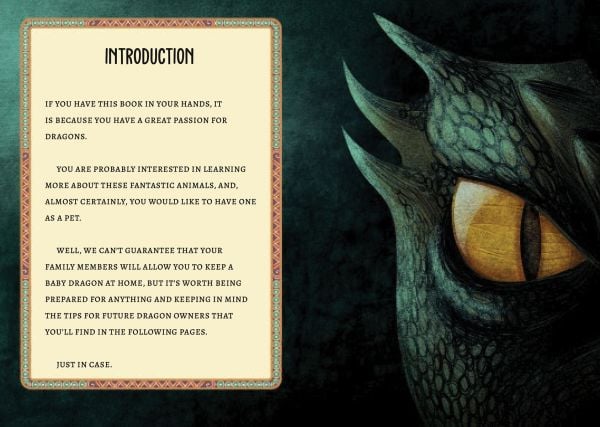 Activity box of Travel Sized Dragons: Over 20 games for little dragon trainers; featuring two dragons. Published by White Star.