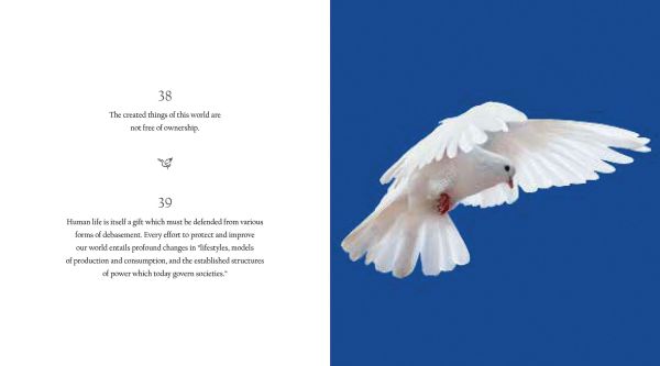 Book cover of 365 Inspirational Moments of Pope Francis: featuring the head of the Catholic Church greeting crowds of people. Published by White Star.