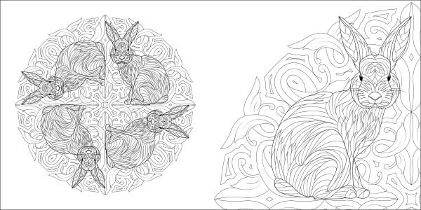 Book cover of Animal Mandalas Colouring Book, with a flock of flamingos. Published by White Star.