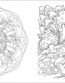 Magic Mushrooms Coloring Book