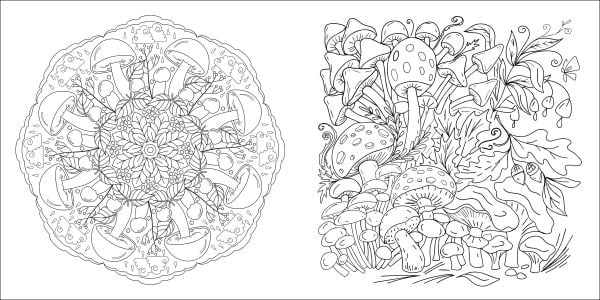 Book cover of Magic Mushrooms Colouring Book. Published by White Star.