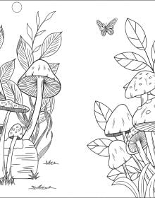 Magic Mushrooms Coloring Book