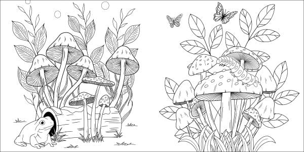 Book cover of Magic Mushrooms Colouring Book. Published by White Star.