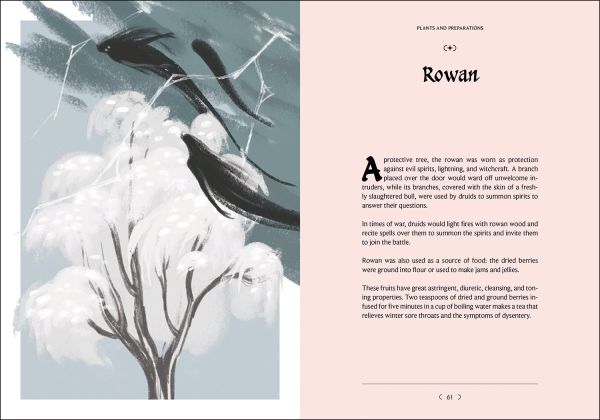 Book cover of Celtic Folk Magic. Published by White Star.