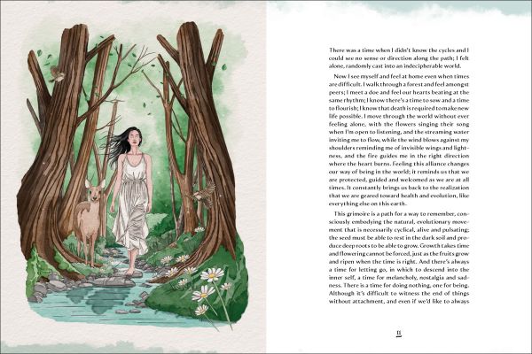 Book cover of Grimoire of Wellness: Natural Wisdom for Body, Mind and Spirit; featuring an owl, fox, toadstool, birds, flowers and bees. Published by White Star.