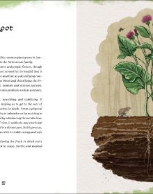 Book cover of Grimoire of Wellness: Natural Wisdom for Body, Mind and Spirit; featuring an owl, fox, toadstool, birds, flowers and bees. Published by White Star.