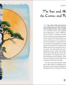 Book cover of Grimoire of Wellness: Natural Wisdom for Body, Mind and Spirit; featuring an owl, fox, toadstool, birds, flowers and bees. Published by White Star.