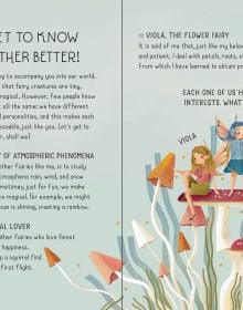 My Little Box of Fairies