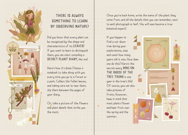 My Little Box of Fairies