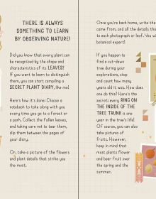 My Little Box of Fairies