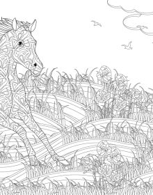 Day and Night Colouring Book