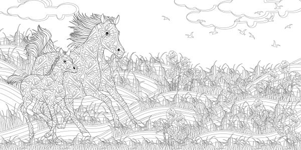 Day and Night Colouring Book