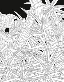 Day and Night Colouring Book