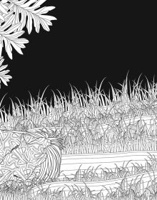 Day and Night Colouring Book