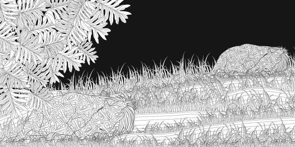 Day and Night Colouring Book