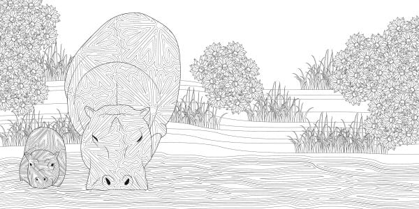 Night & Day. Coloring Book