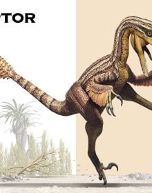 Shaped Puzzle Fun: Roaring T-Rex