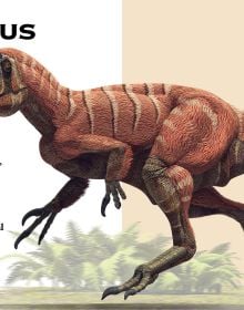 Shaped Puzzle Fun: Roaring T-Rex