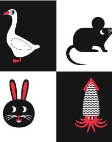 Baby Montessori Animals