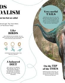 Bite-Sized Facts: Dinosaurs