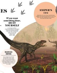 Bite-Sized Facts: Dinosaurs