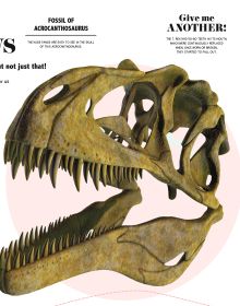 Bite-Sized Facts: Dinosaurs