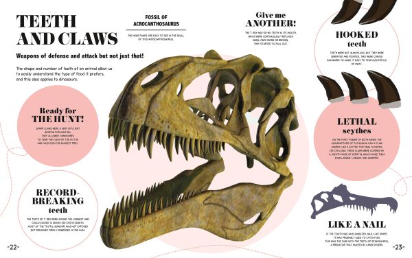 Bite-Sized Facts: Dinosaurs