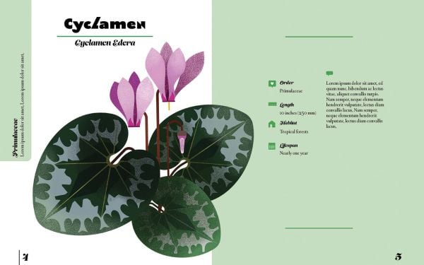 Naturepedia: Flowers and Blooms