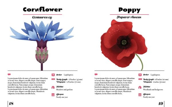 Naturepedia: Flowers and Blooms