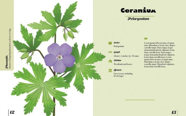 Naturepedia: Flowers and Blooms