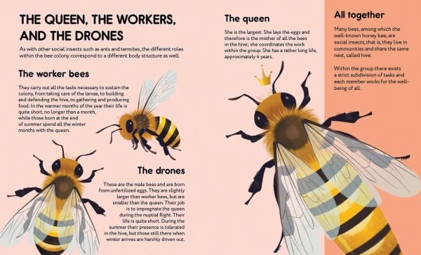 Small Steps, Big Discoveries: Bees