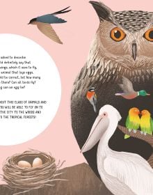 The World of Birds