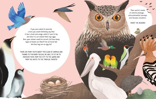 The World of Birds