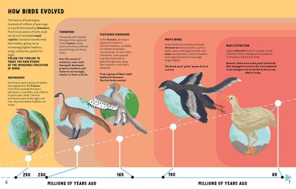 The World of Birds