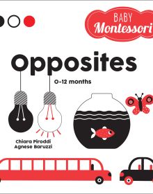 Baby Montessori Opposites