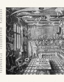 Chambers of Wonder