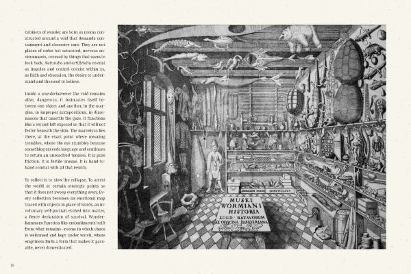 Chambers of Wonder